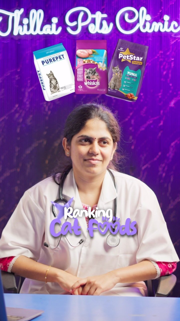Ranking Cat Foods: 59K Views, 13x the Usual Reel